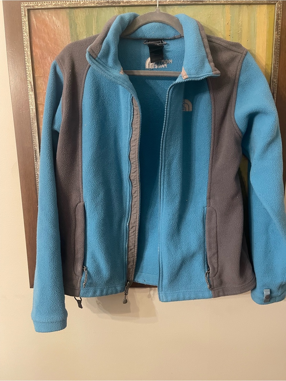 The North Face Women's Blue & Gray Fleece Jacket
